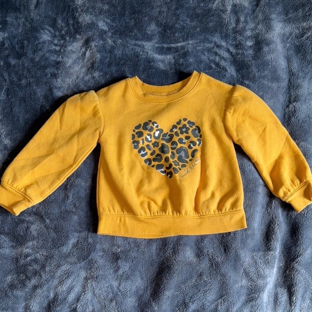 Girls Bundle of 2 Pullovers | 4T